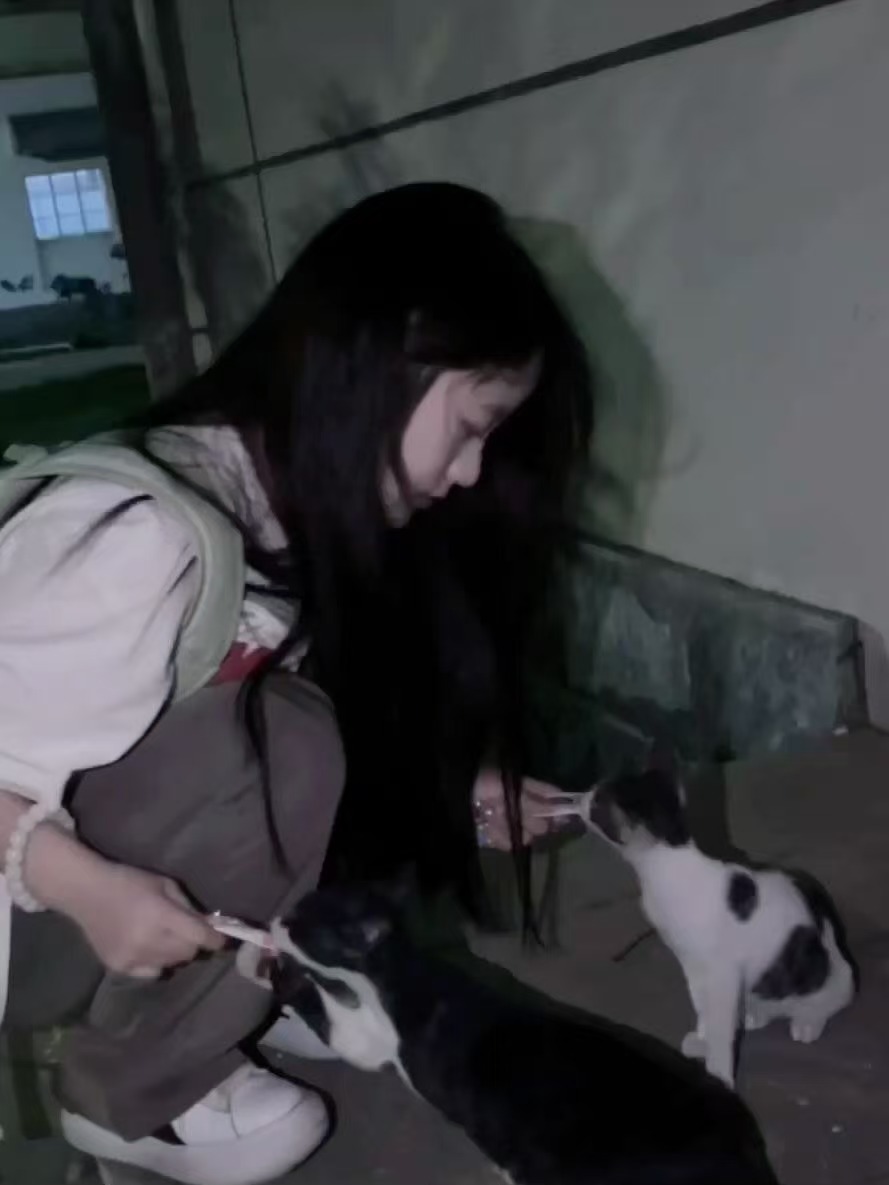 喂小猫